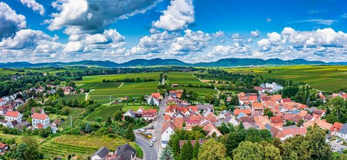 Diehlenhof vder Blick Richtung des Pfälzer Waldes